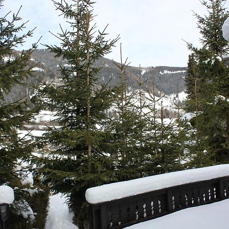 Chalet Heidi Bkk Bad Kleinkirchheim Extérieur photo